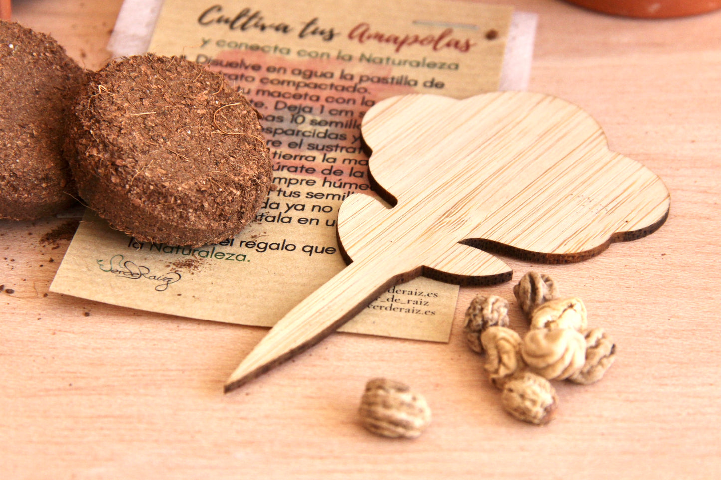 Mini Kit DIY Cultiva Capuchinas