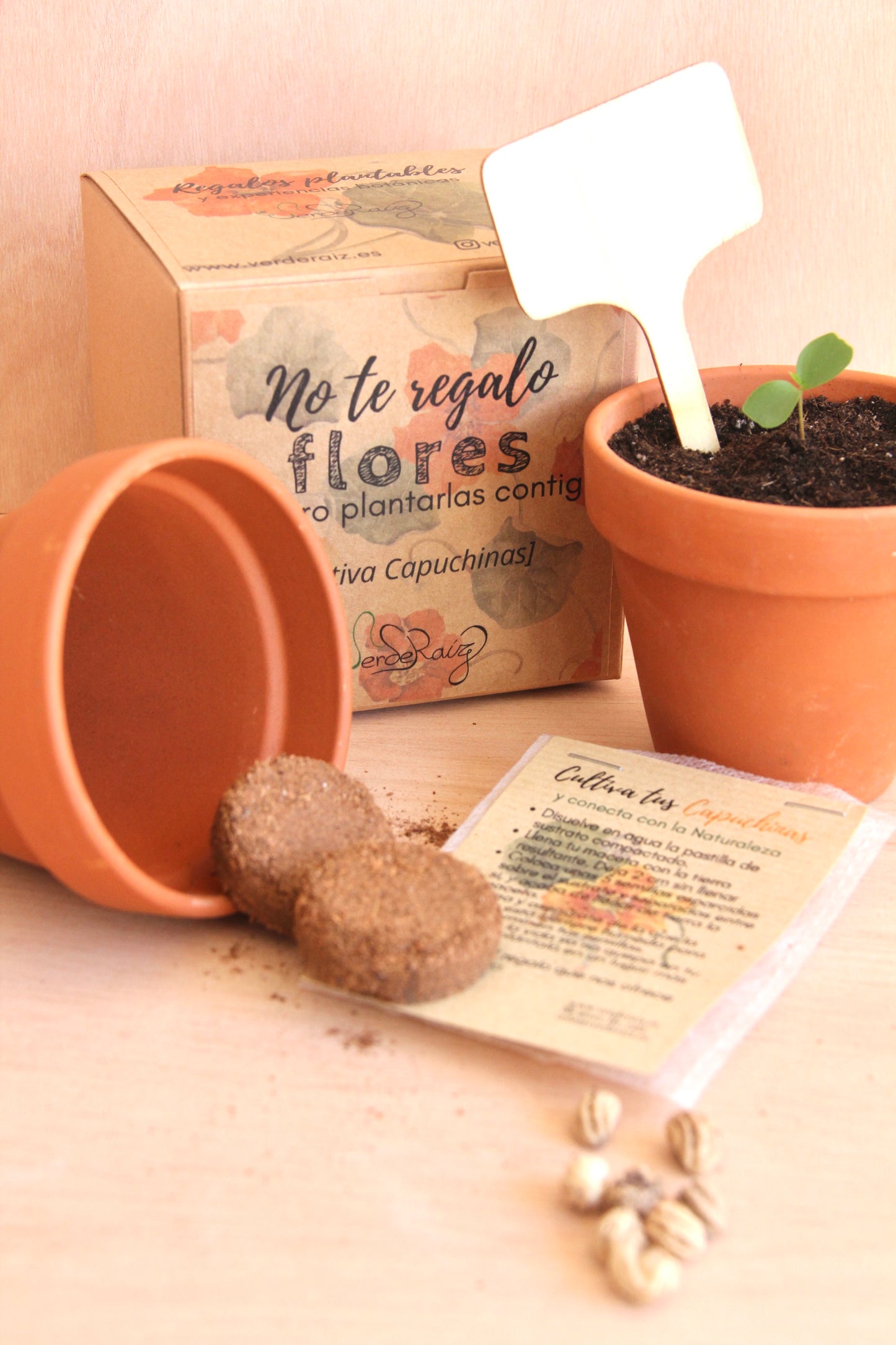 Mini Kit DIY Cultiva Capuchinas