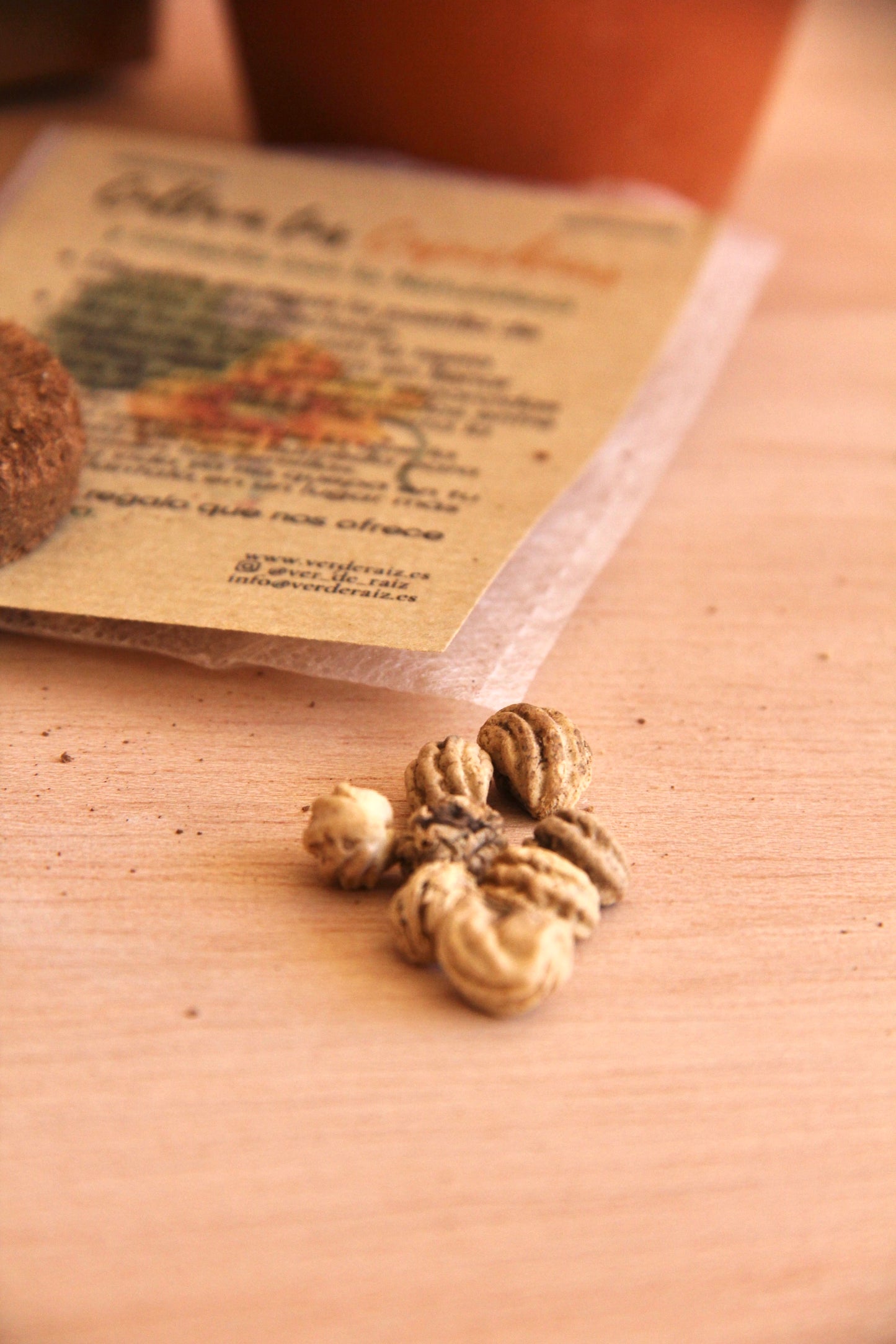 Mini Kit DIY Cultiva Capuchinas