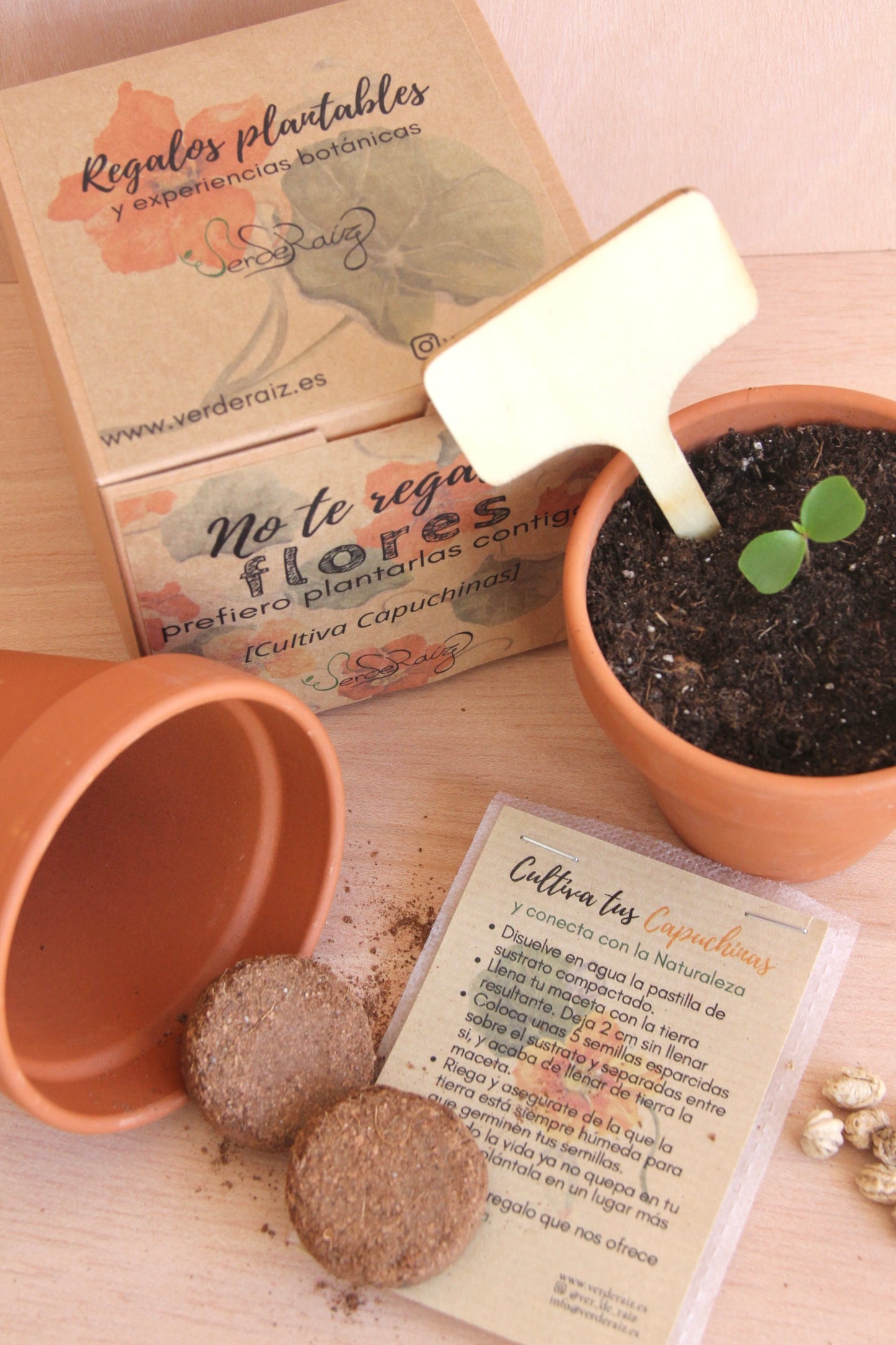 Mini Kit DIY Cultiva Capuchinas