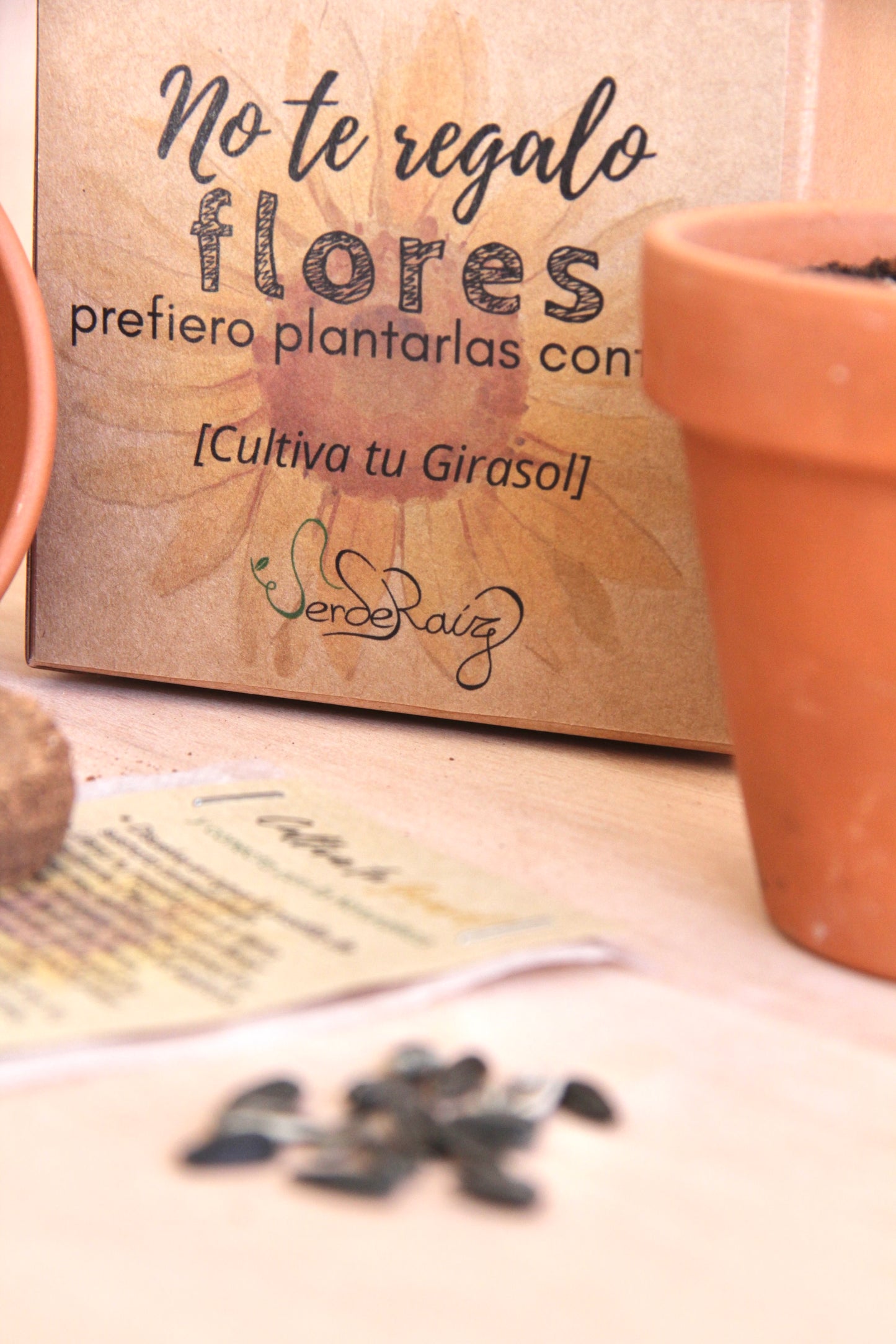 Mini Kit DIY cultivo Girasol