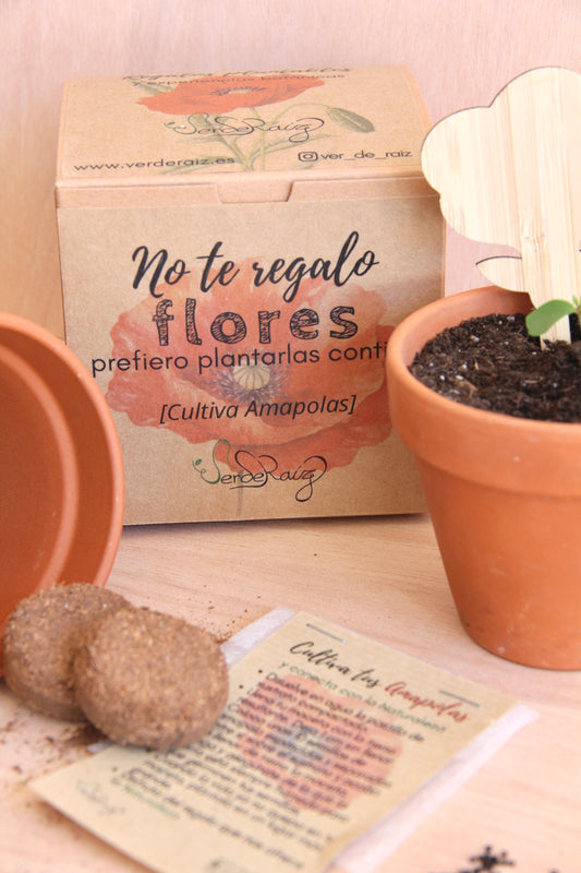 Mini Kit DIY Cultivo Amapolas