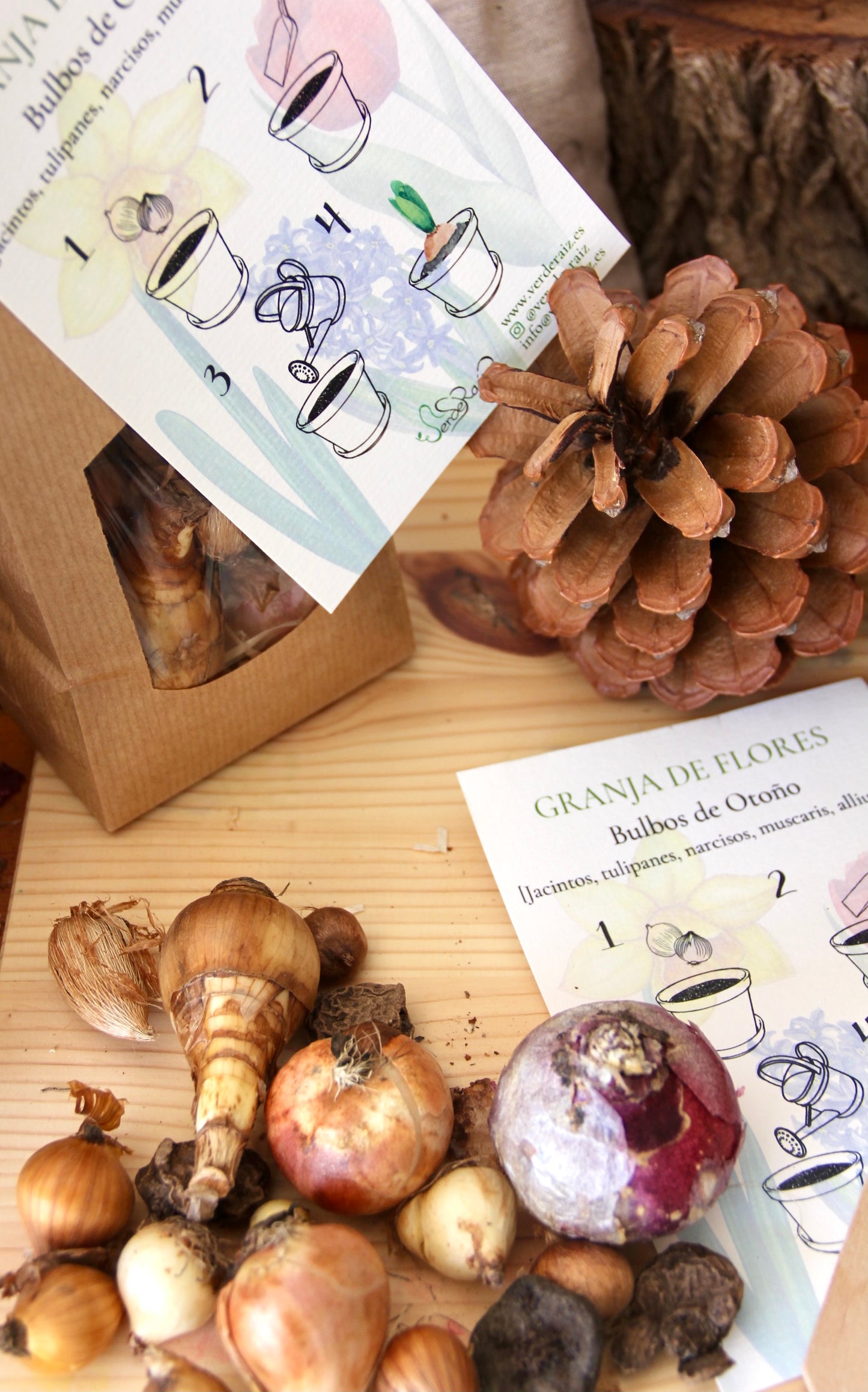 Granja de flores Otoño