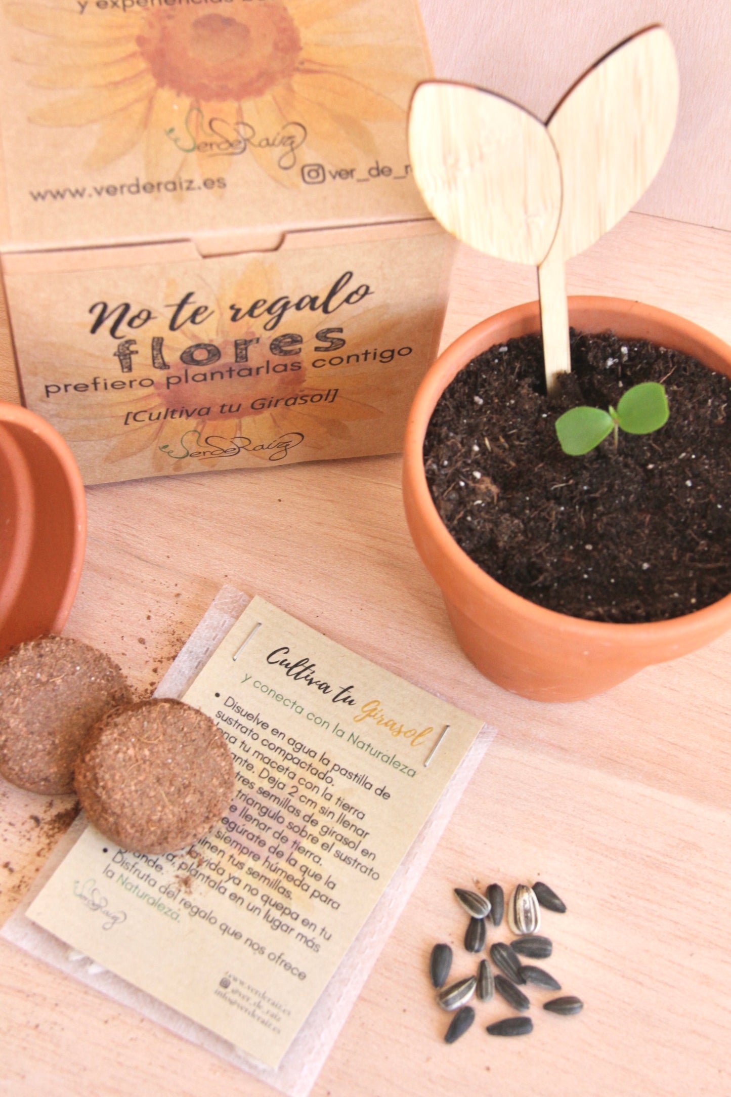 Mini Kit DIY cultivo Girasol