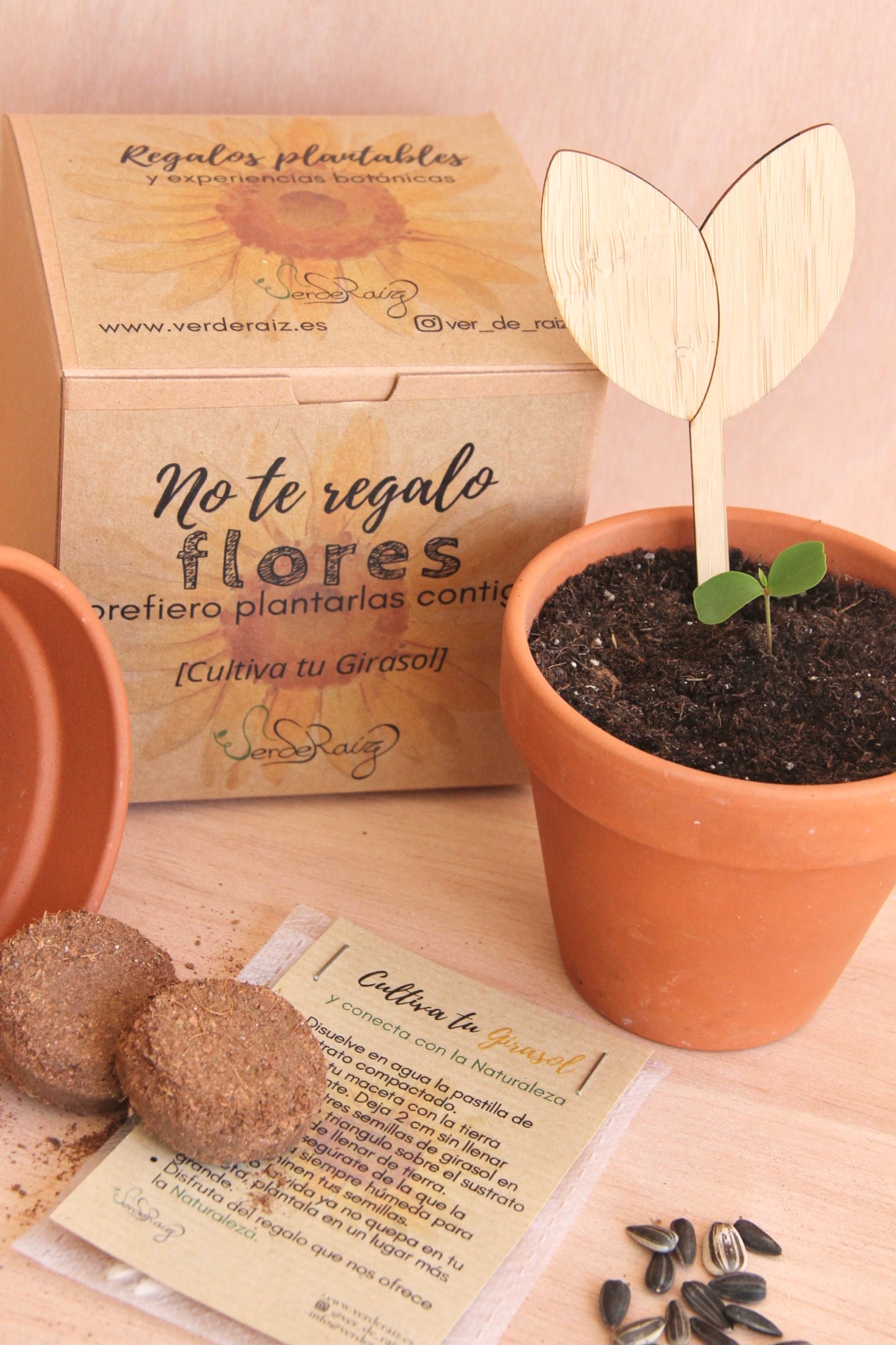 Mini Kit DIY cultivo Girasol
