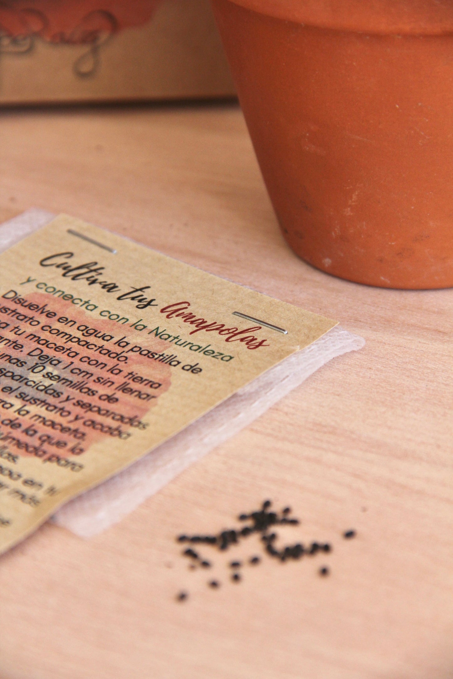 Mini Kit DIY Cultivo Amapolas