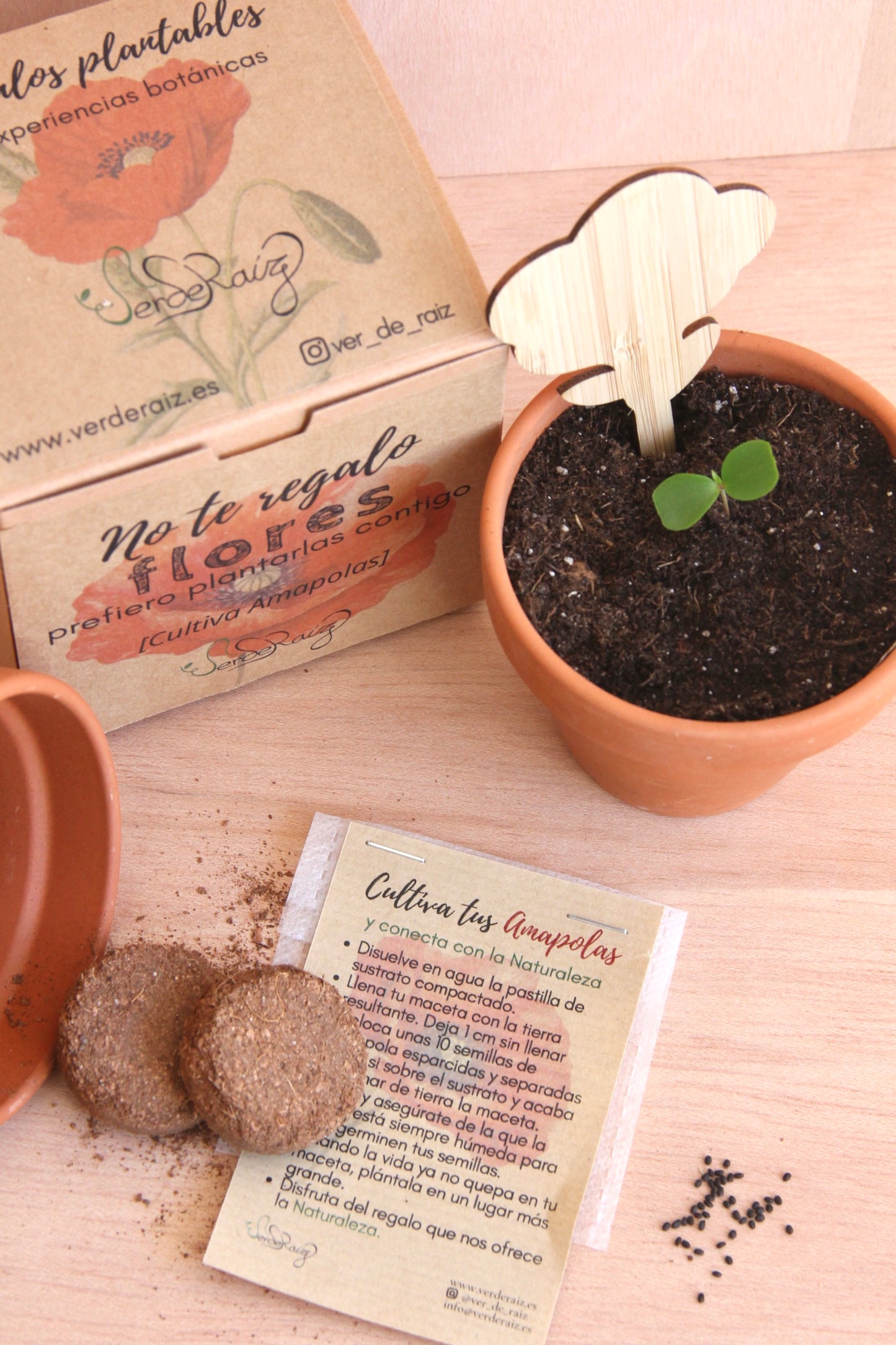 Mini Kit DIY Cultivo Amapolas