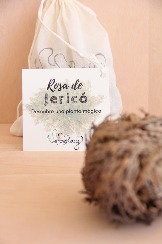 Rosa de Jericó