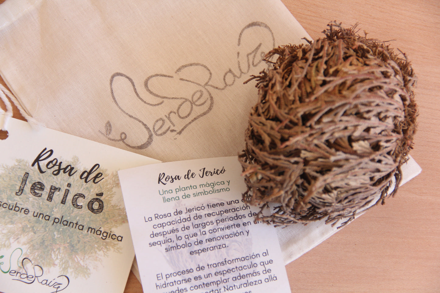 Rosa de Jericó