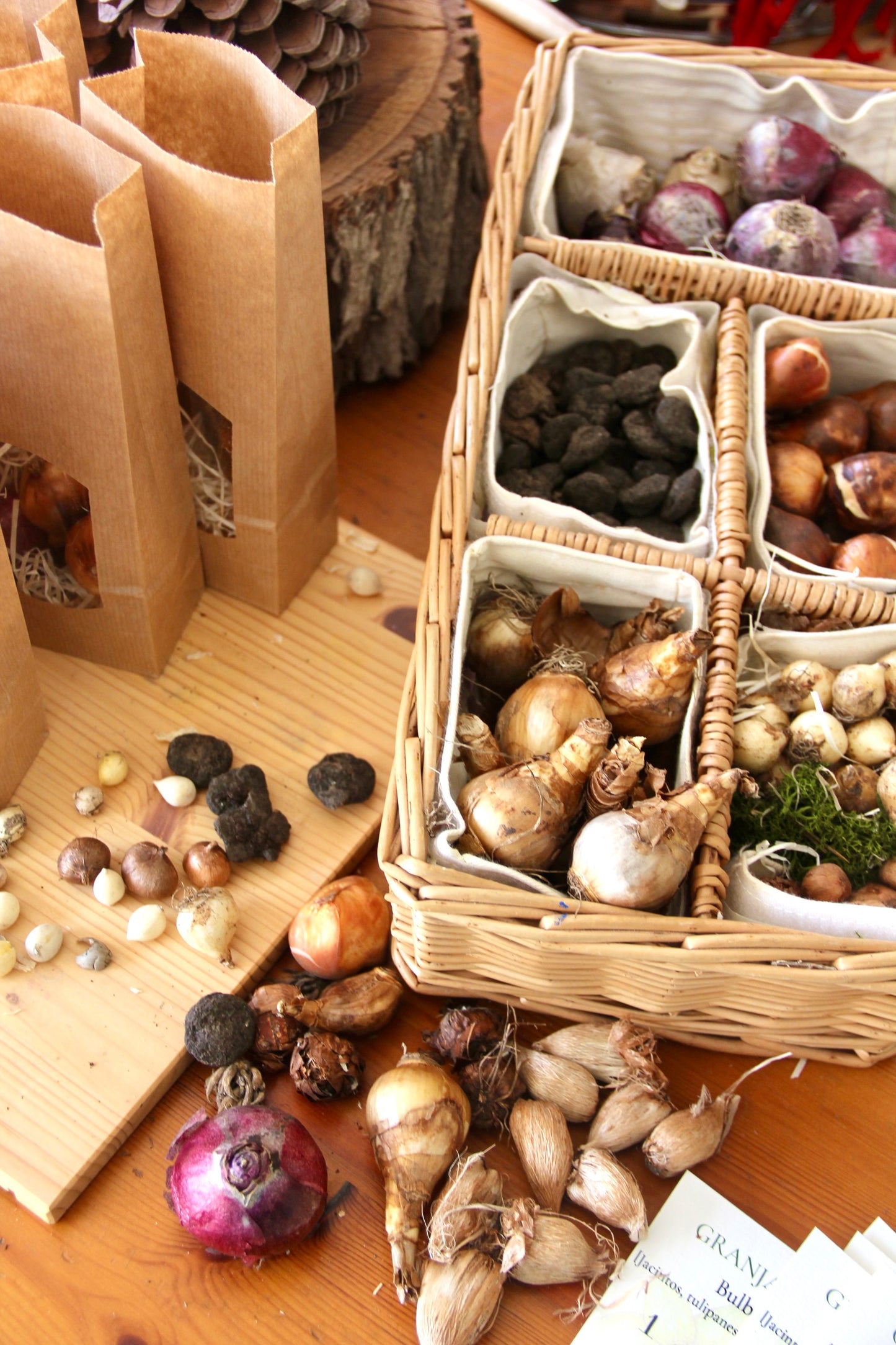 Granja de flores Otoño