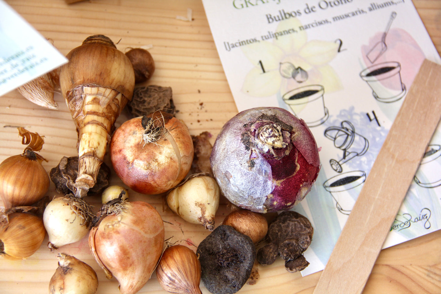 Granja de flores Otoño