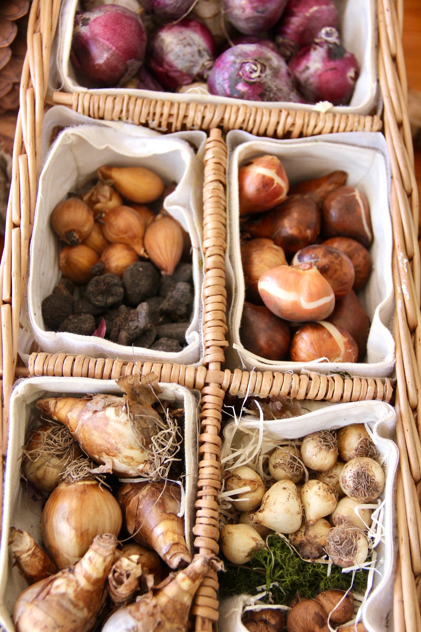 Granja de flores Otoño