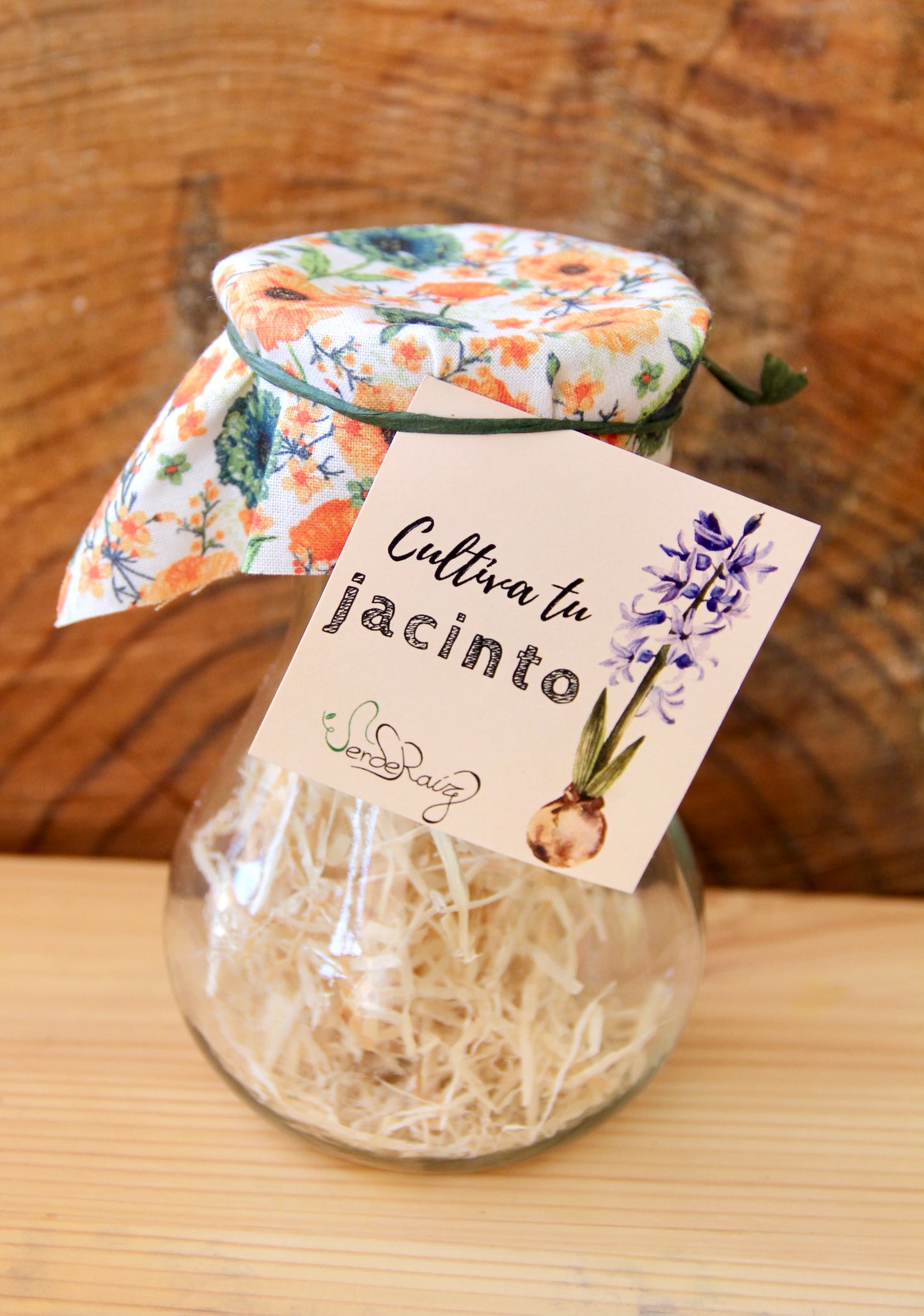 Cultiva tu Jacinto