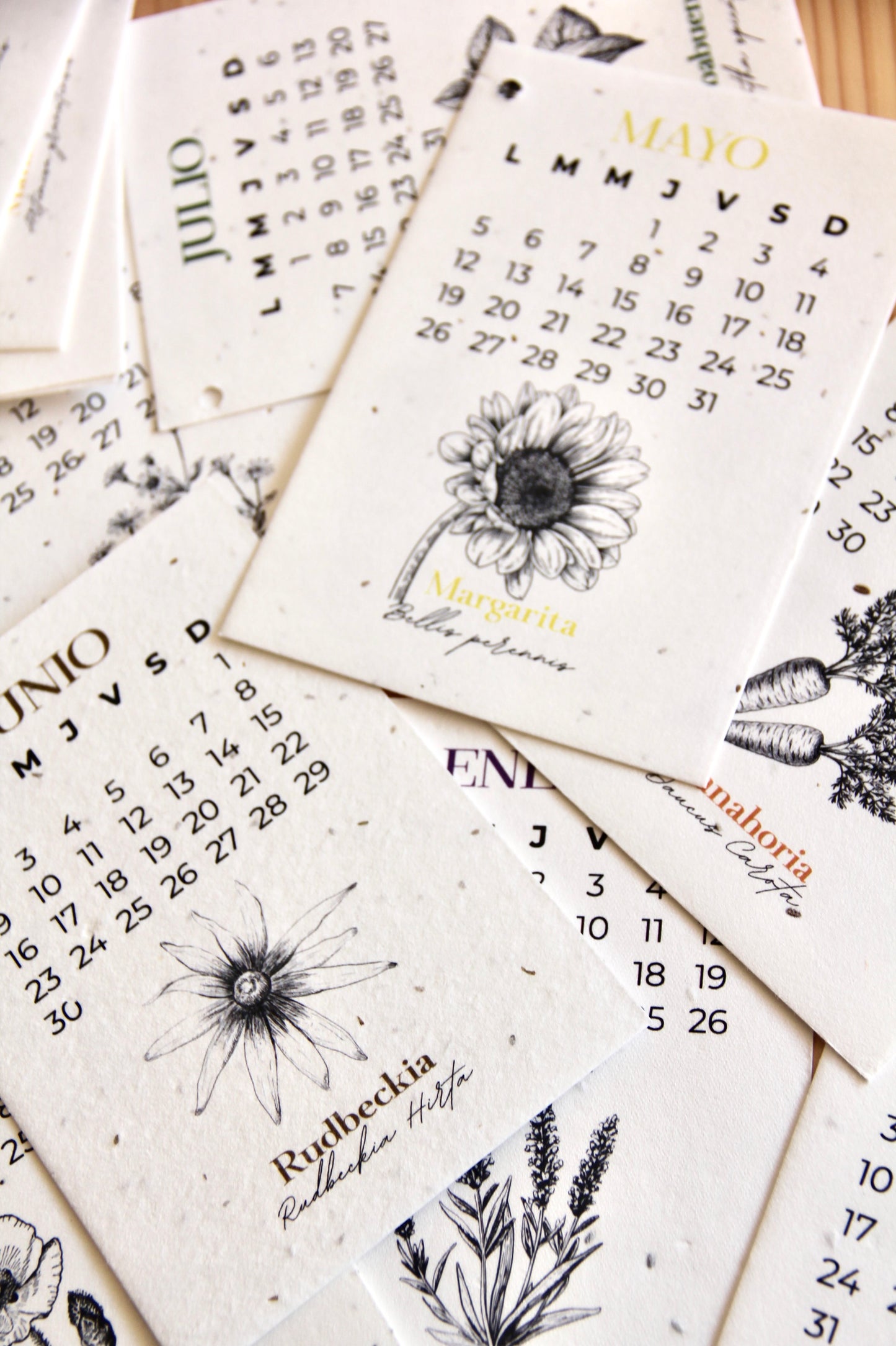 Calendario Plantable 2026