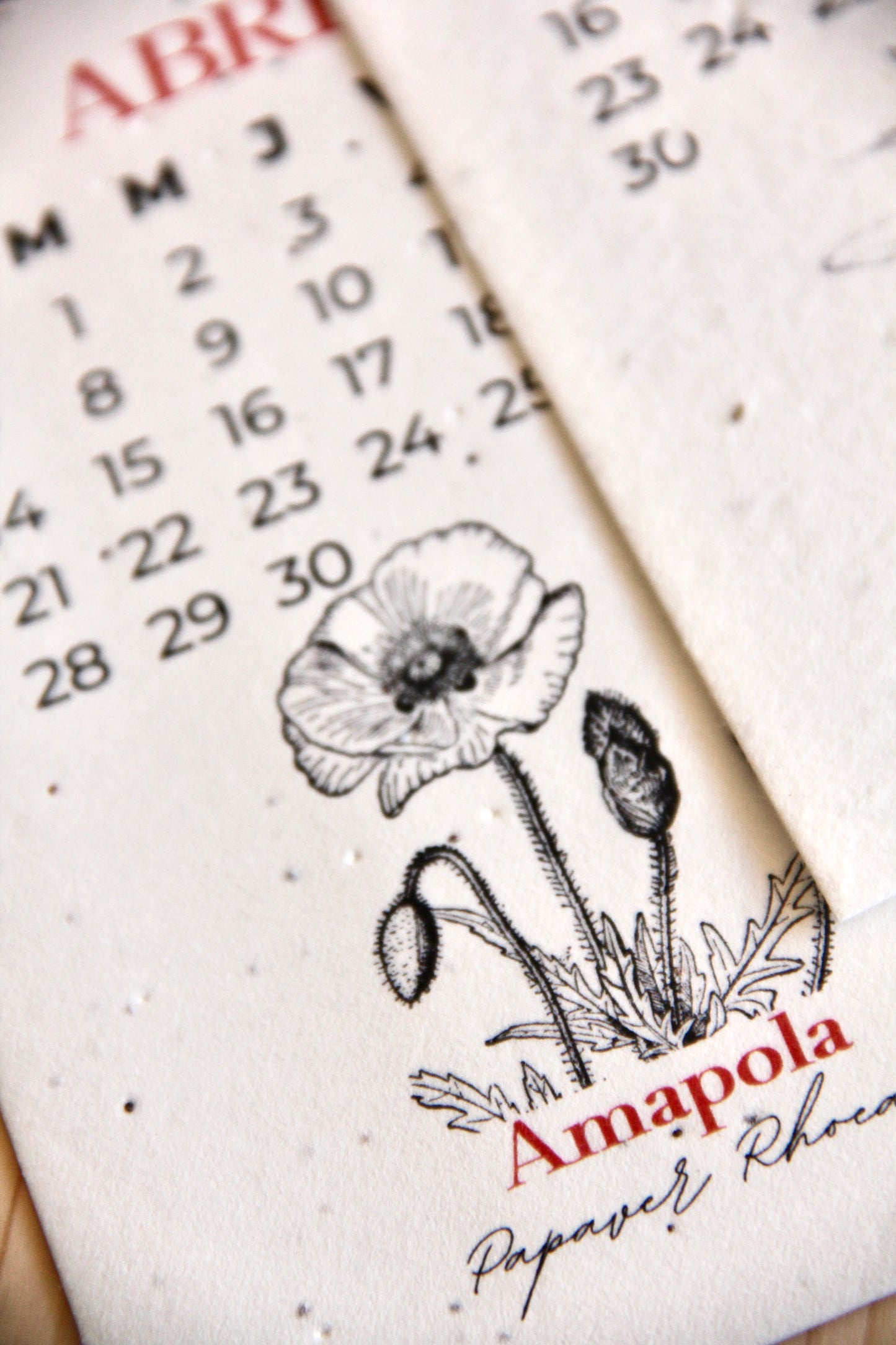 Calendario Plantable 2026