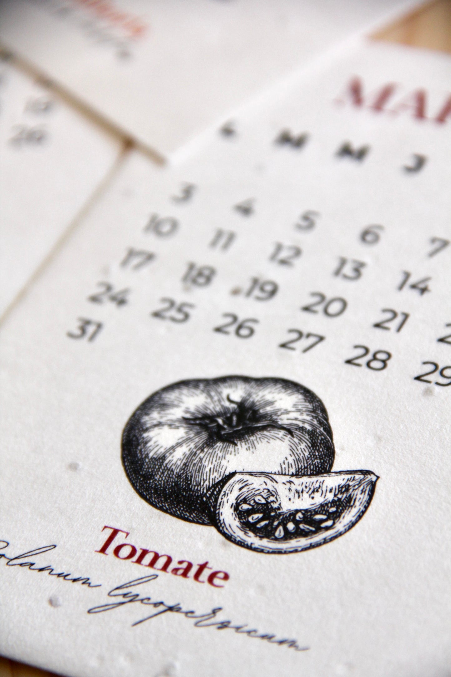 Calendario Plantable 2026