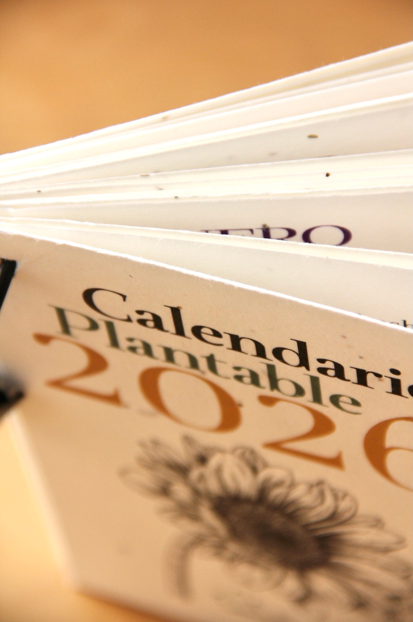 Calendario Plantable 2026