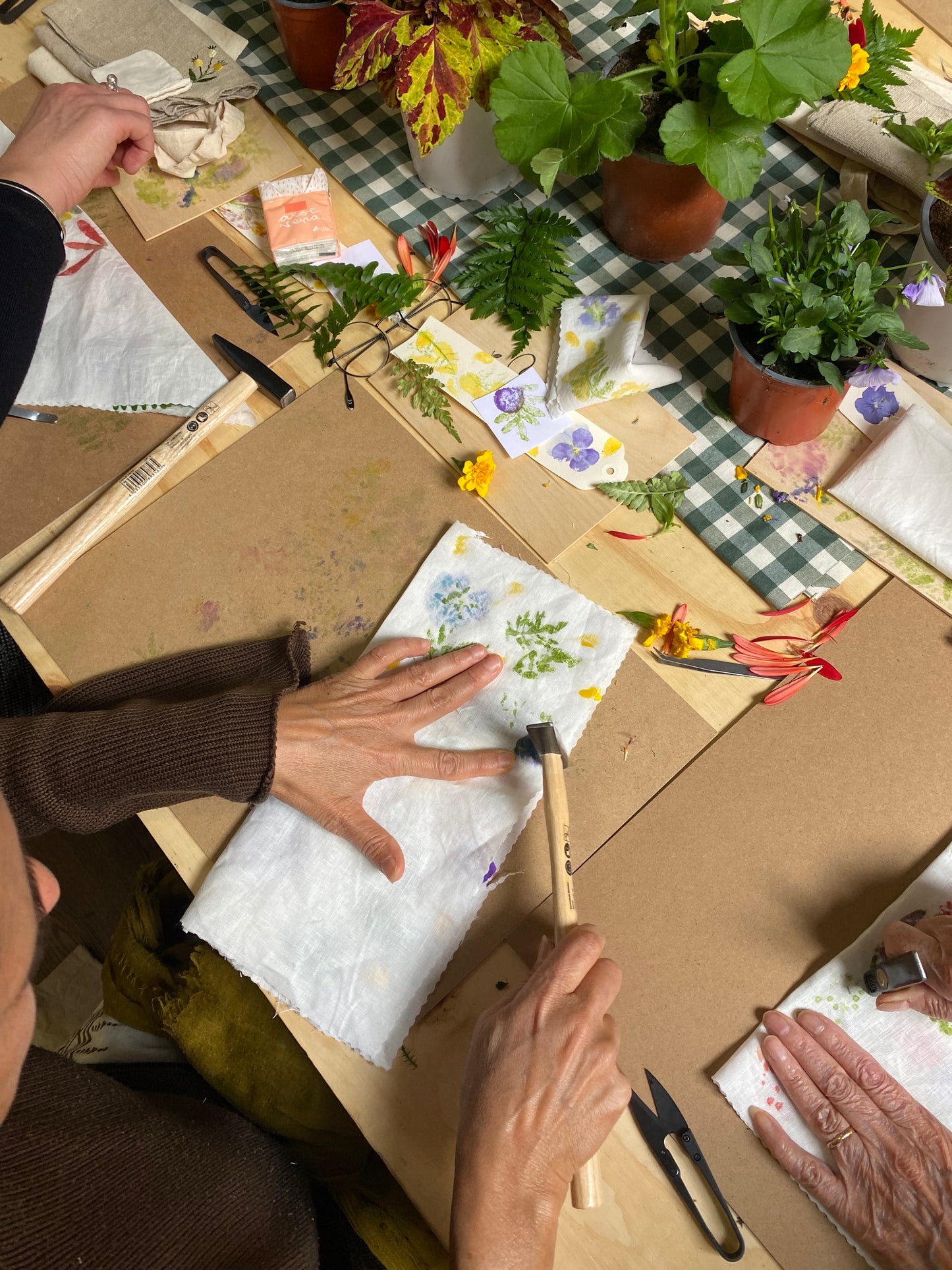 Taller Estampación Botánica