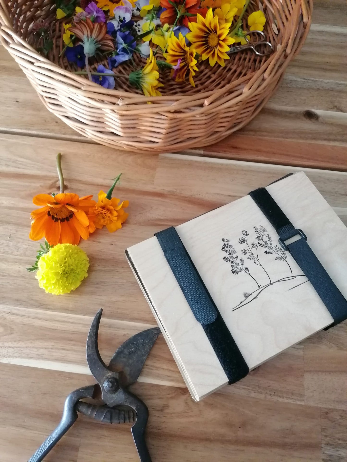 Taller de Prensado Botánico